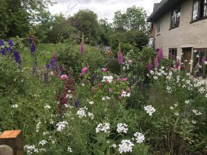 Wallngton garden